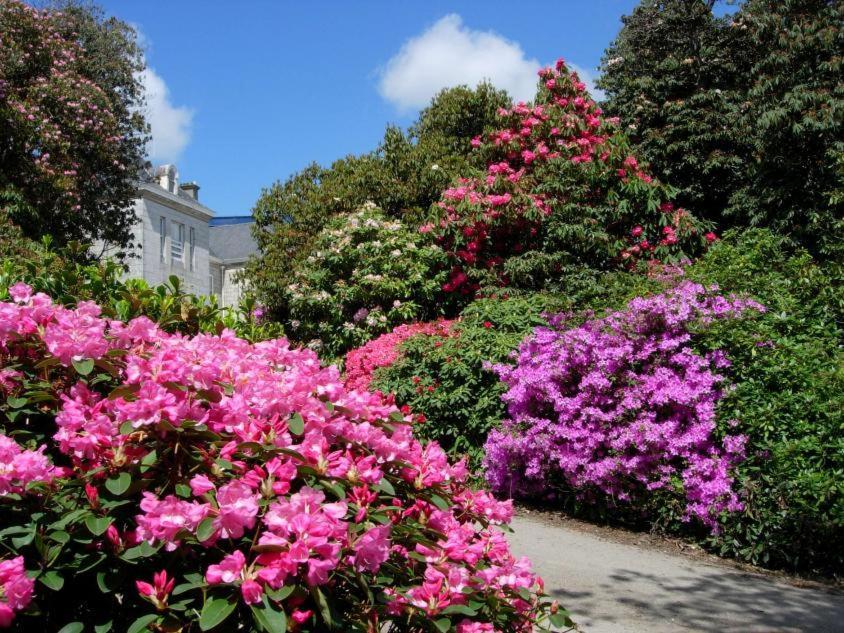 Glasney Rooms, University Campus Penryn Falmouth Buitenkant foto